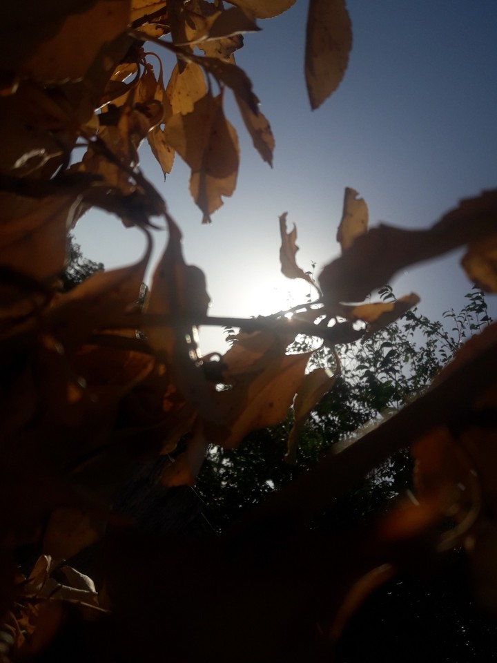 otoño