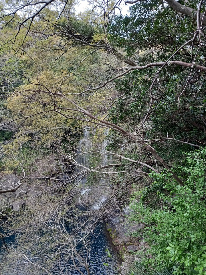 천제연폭포