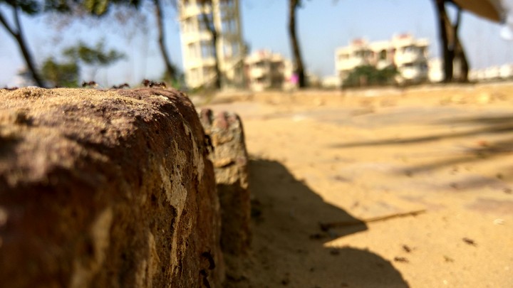 yadav ji photography