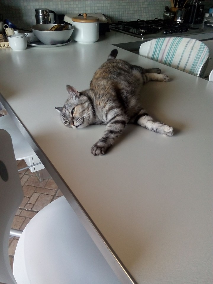 Trudi