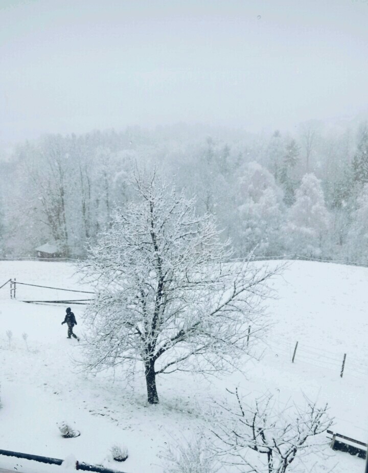 Winter landscape