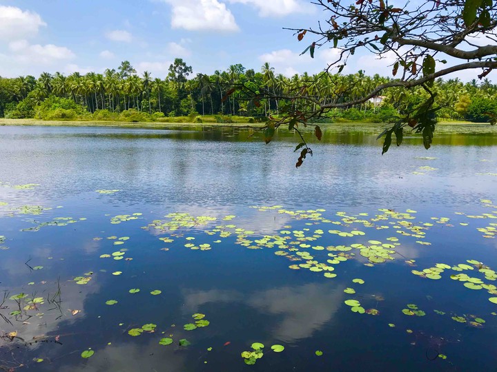 Mabodale Lake ( Sri Lanka )