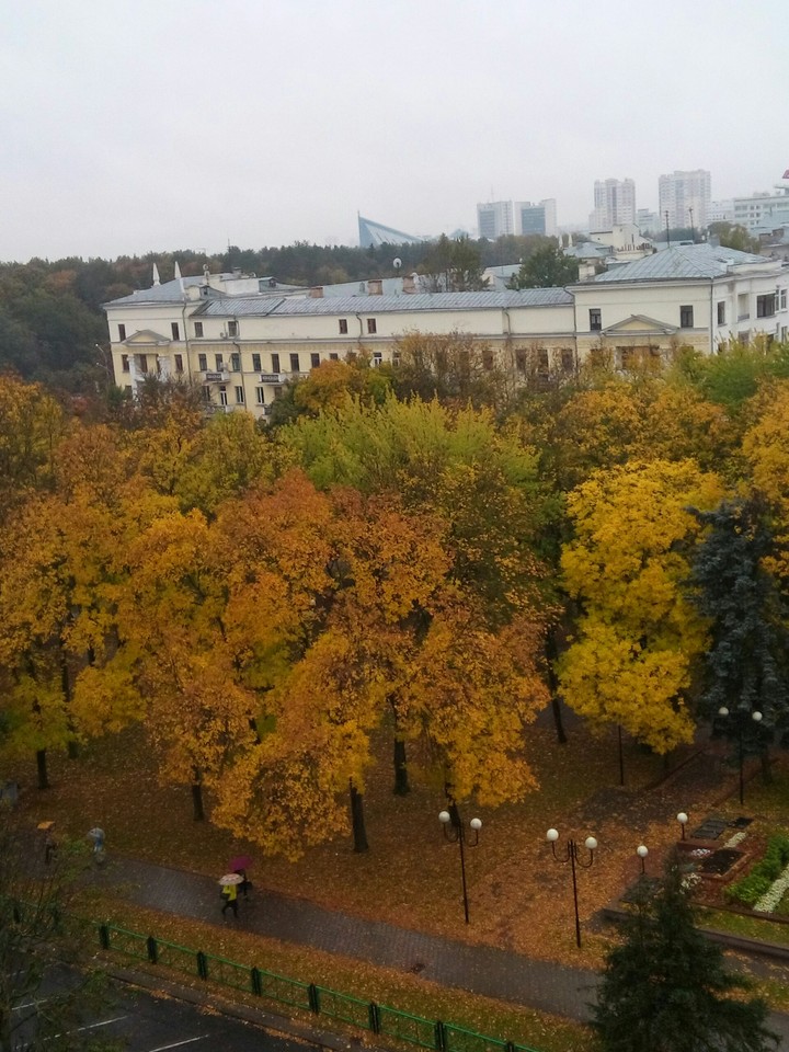 Autumn. Rain