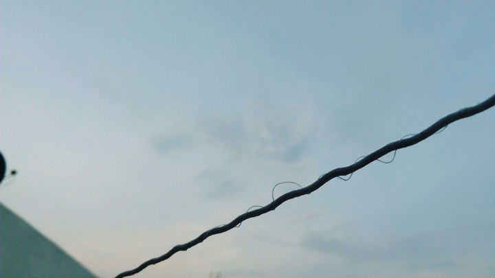 Skyshot