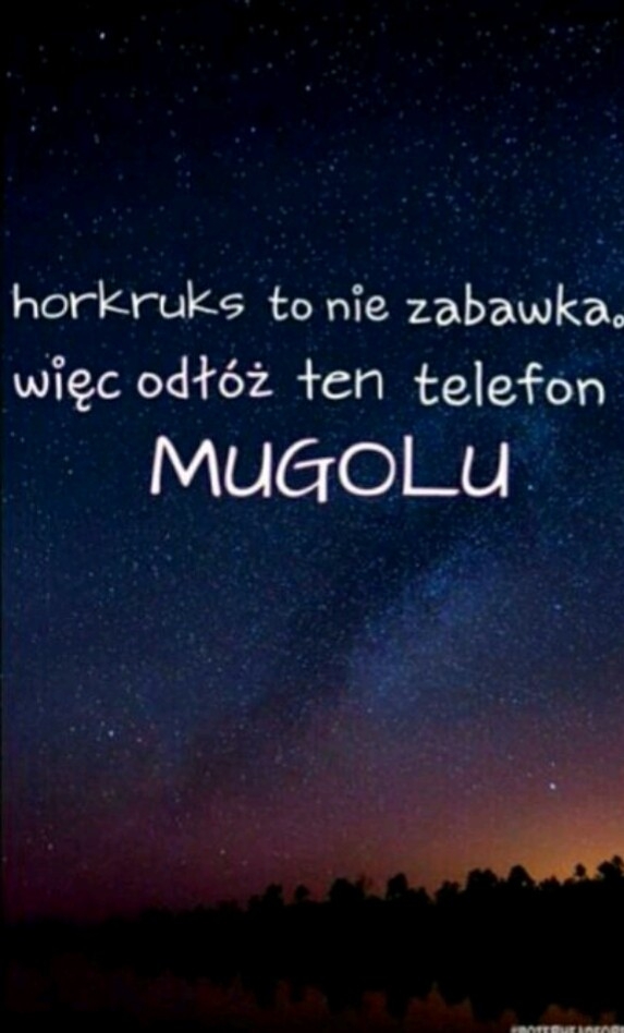 Potterhead .3.