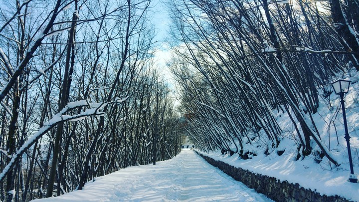 snow