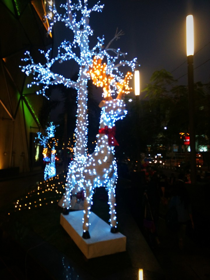 Christmas Reindeer