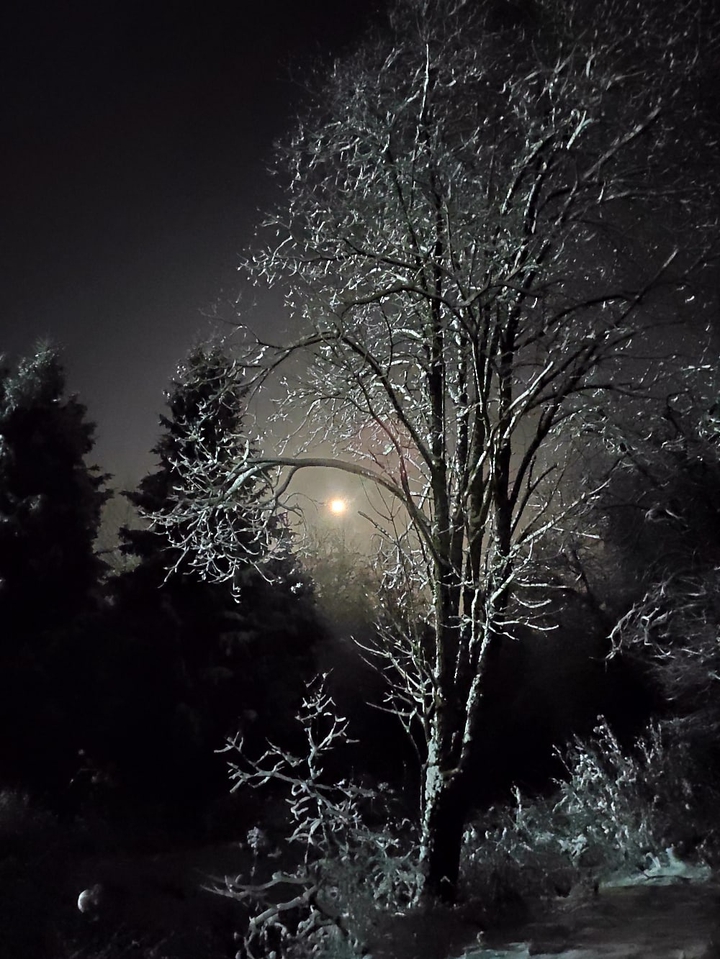 Icy night