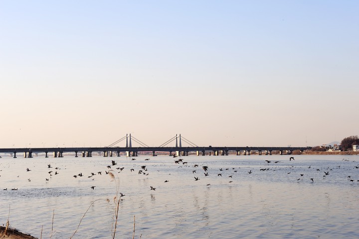 Bridge