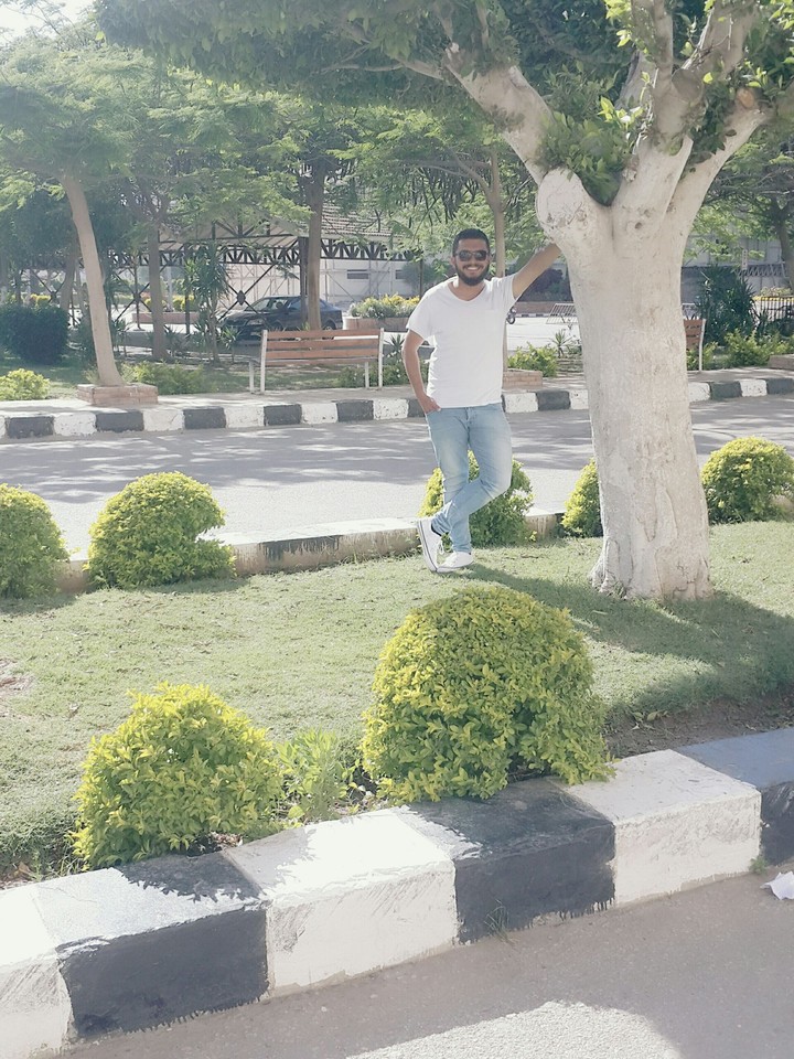 free life