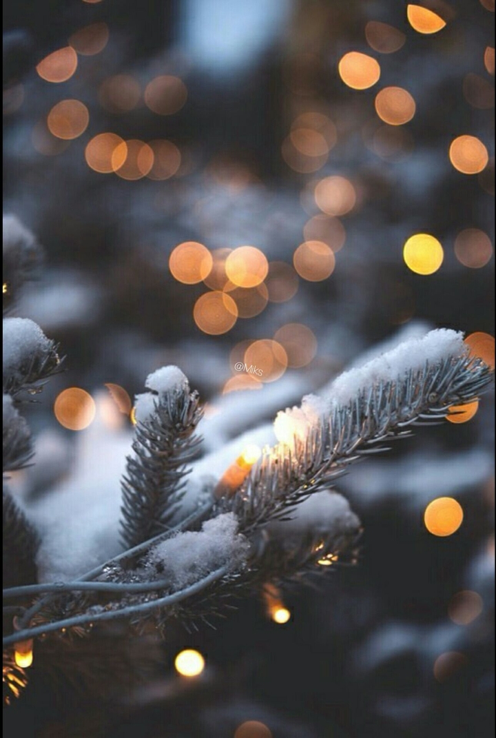 snow