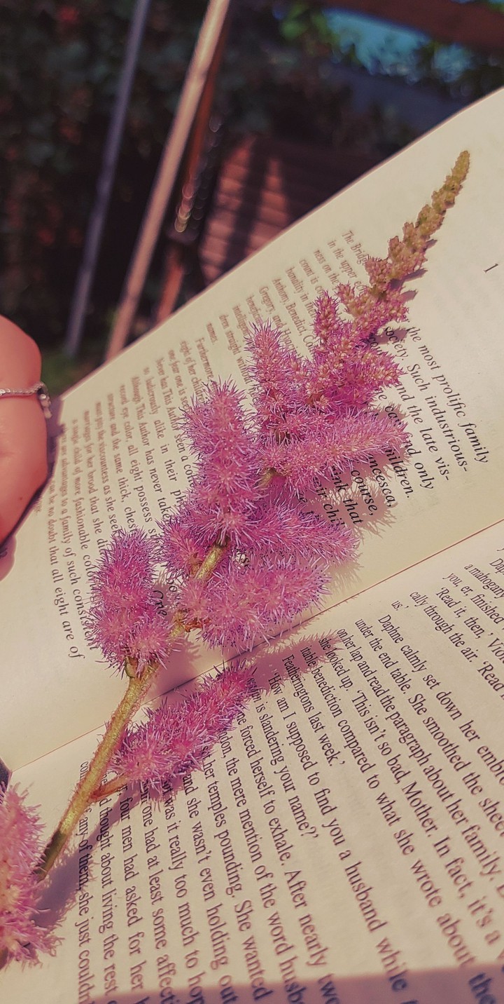 a broken flower