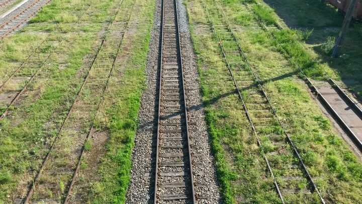 gras