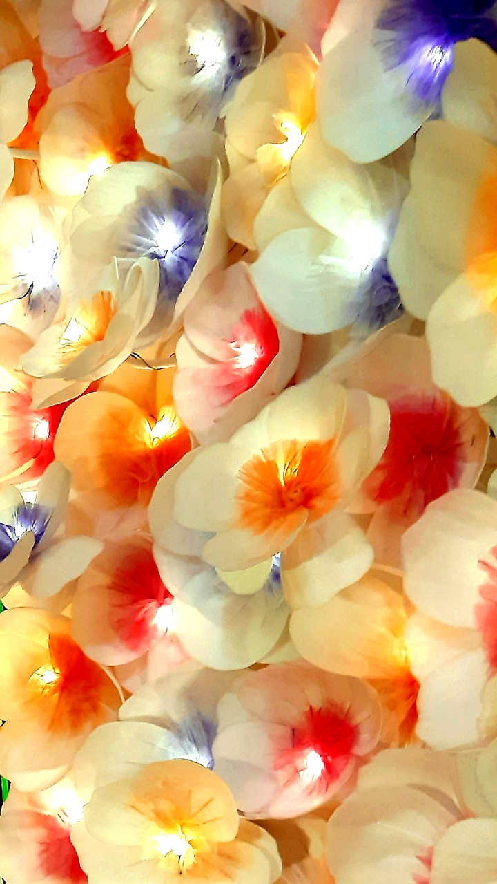 flowers theme