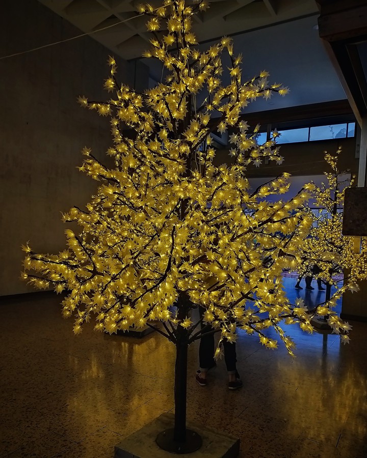 luces