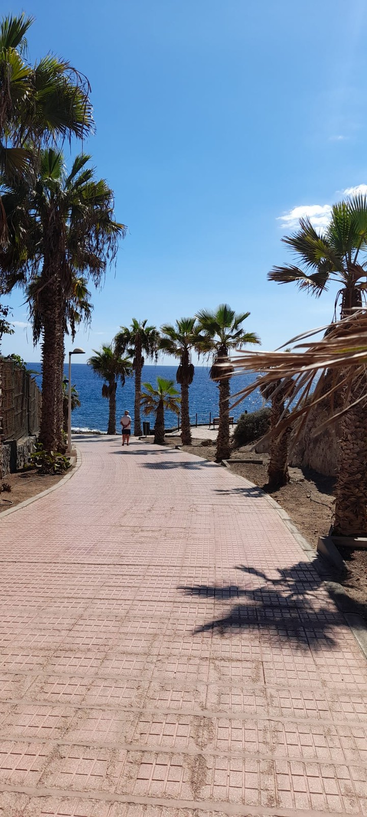 een leuk plaatje op Tenerife, prachtig blauwe Zee