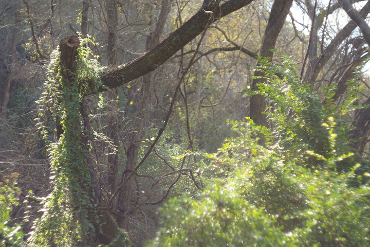hidden trails