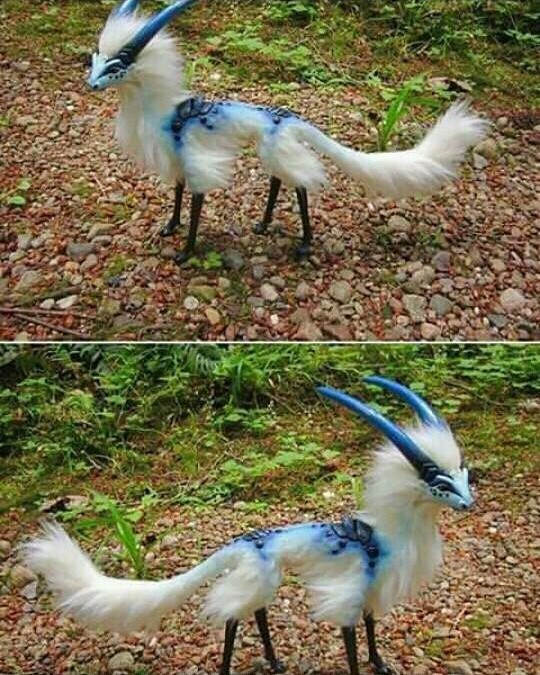 Animal
