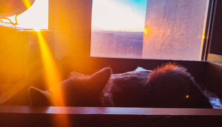 Sunlight