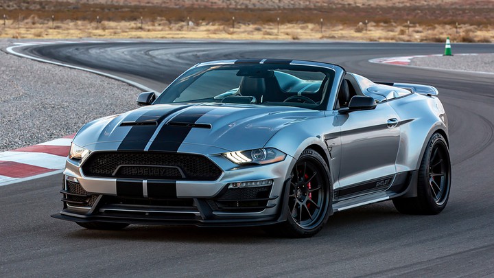 shelby