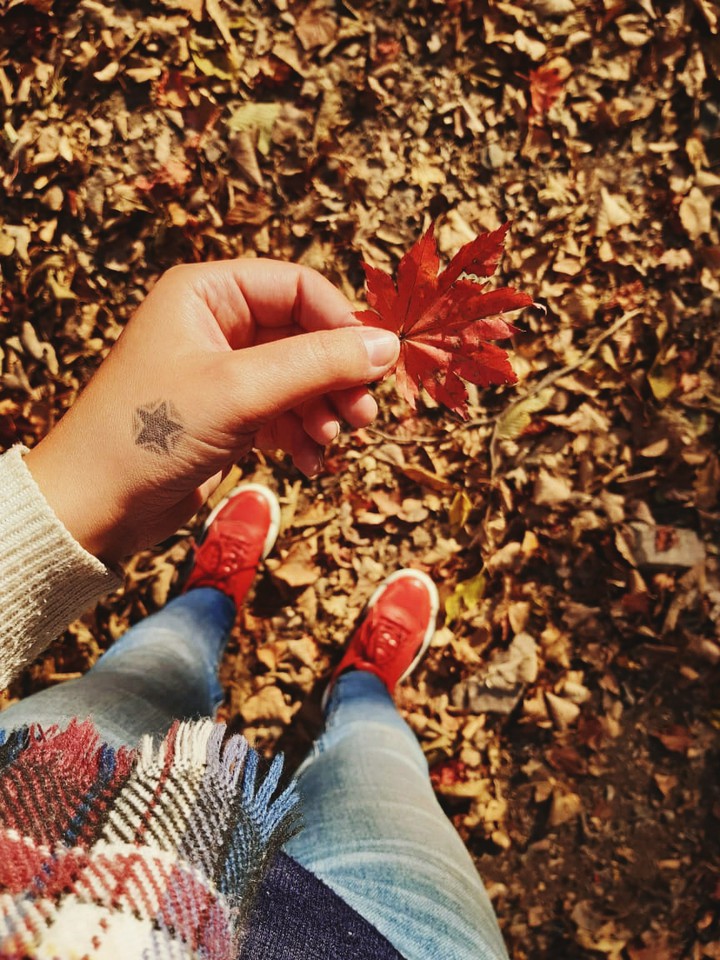 fall