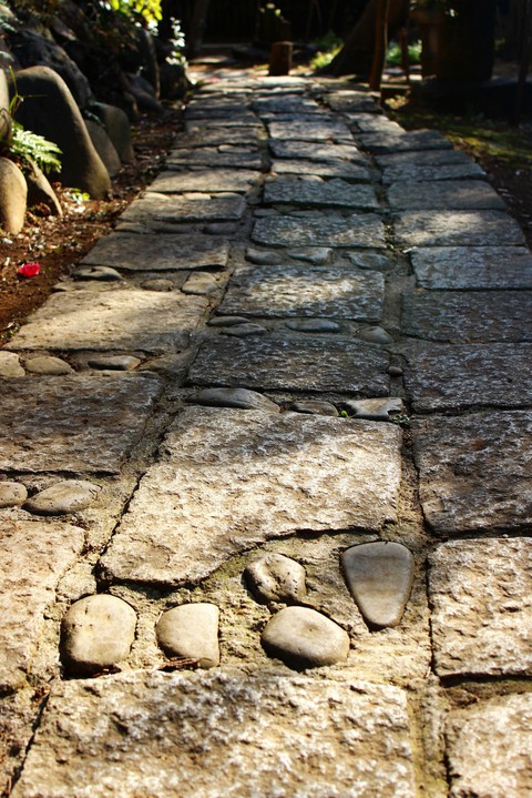 japanese garden