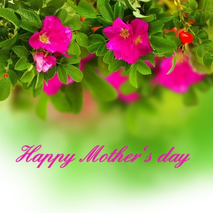 Happy Mother's day ❤️❤️❤️❤️❤️