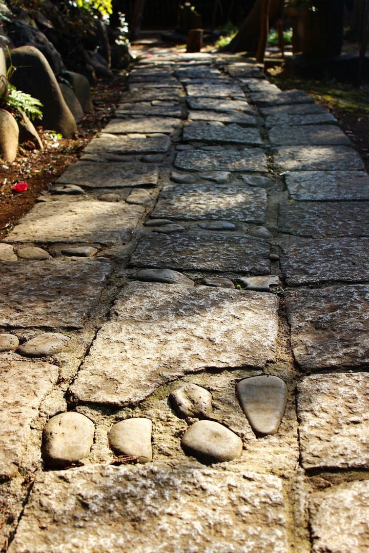 japanese garden