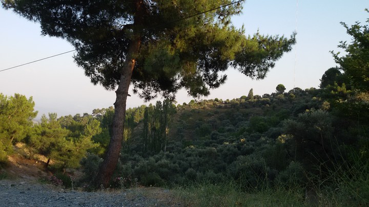 Turkey