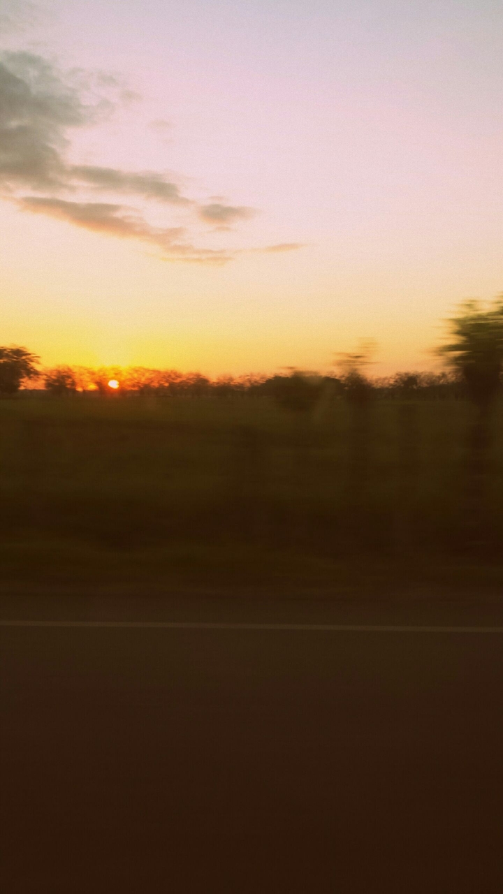Trip 