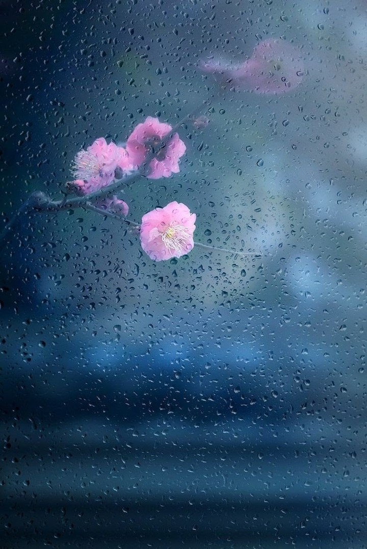 Rain on the window pane