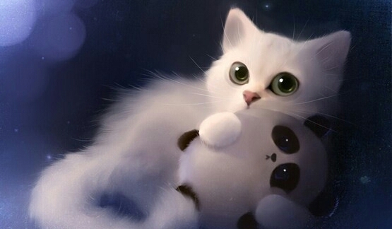 beautiful cat