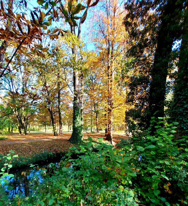 Herbstspaziergang