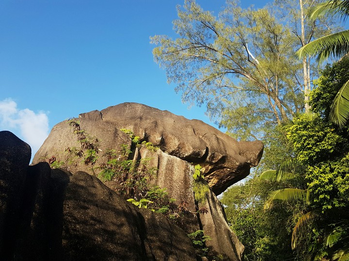 Rock