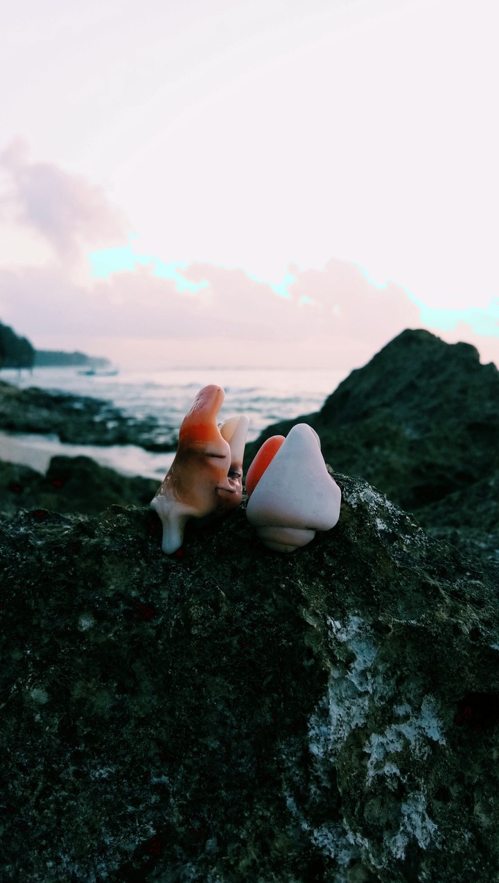 the beauty of beach