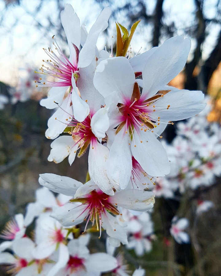 Spring is coming!