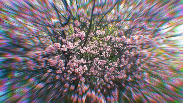 psychedelic Pink