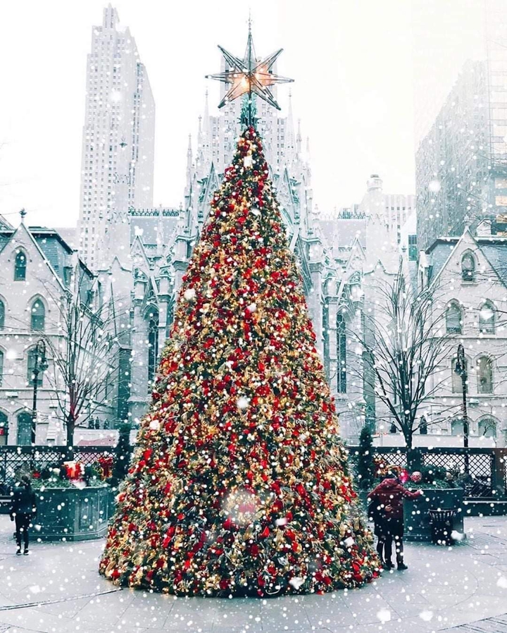 New York Christmas
