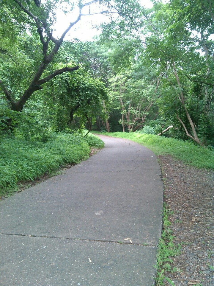 Lonely Walkway