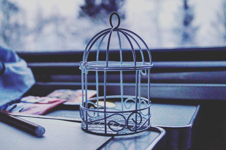 canary cage