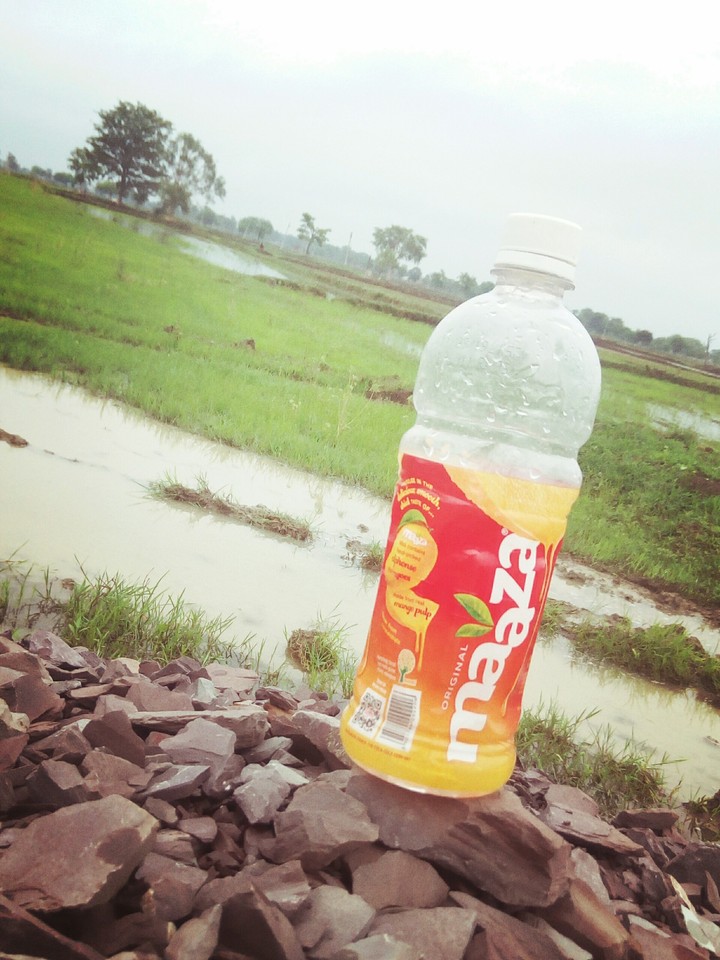 Mango juice