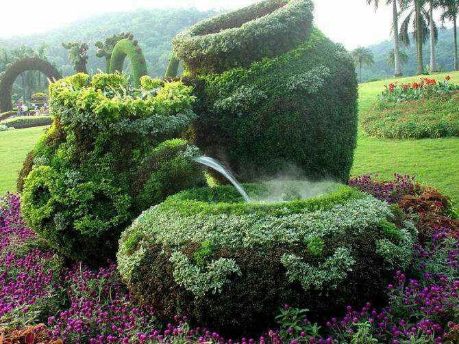 garden
