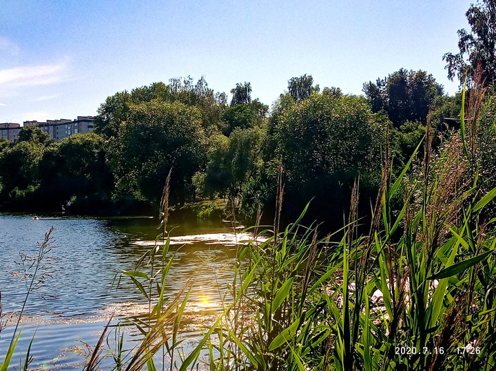 Солнечные блики на воде