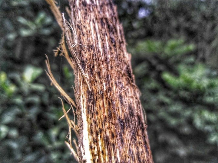 my click