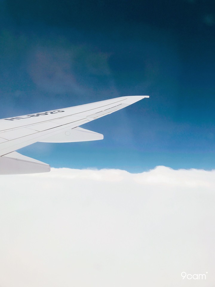 in flght