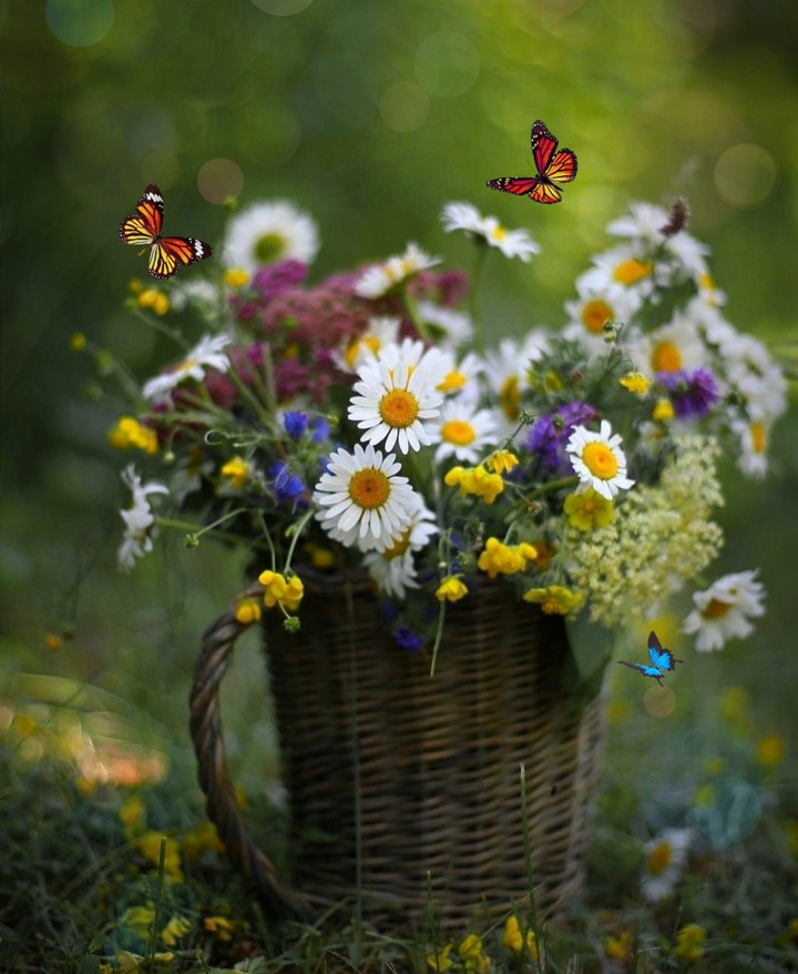 Summer bouquet ❤️