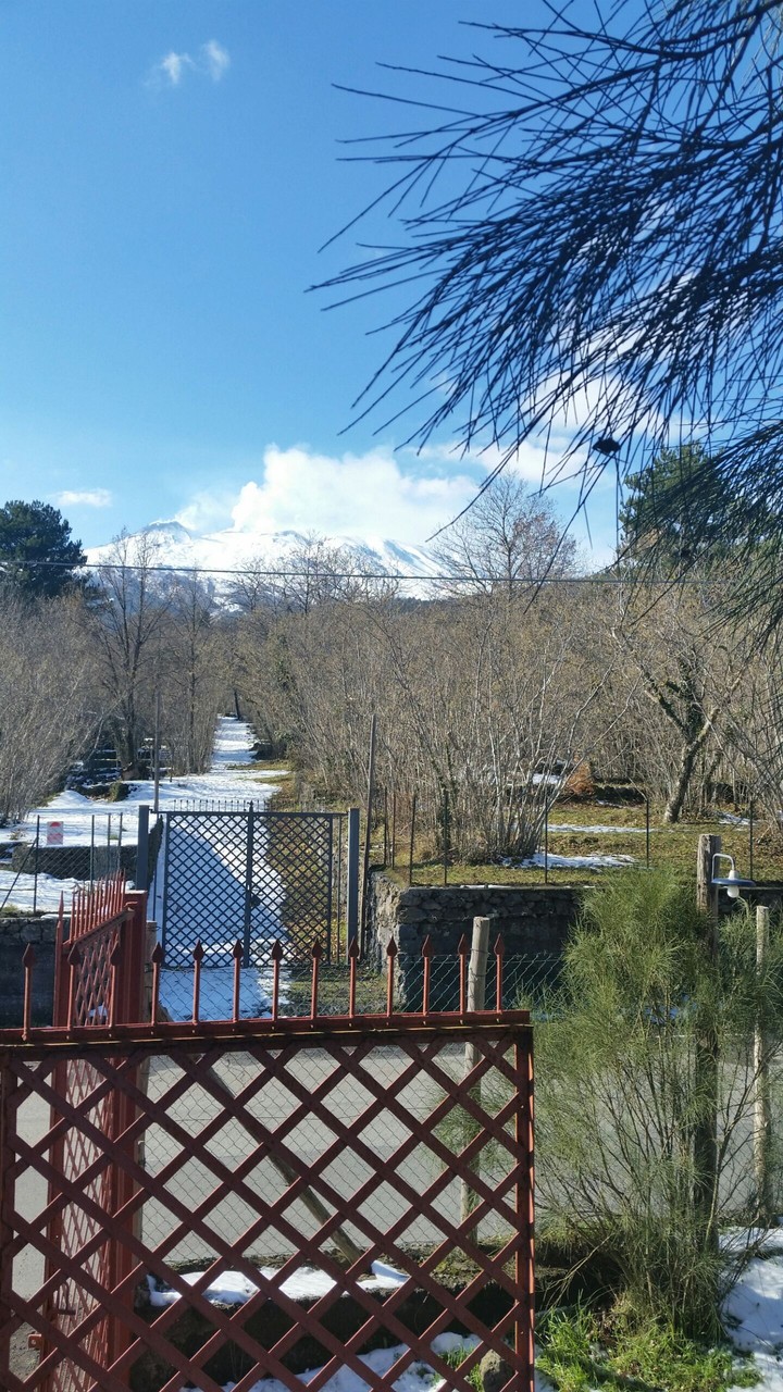 winter