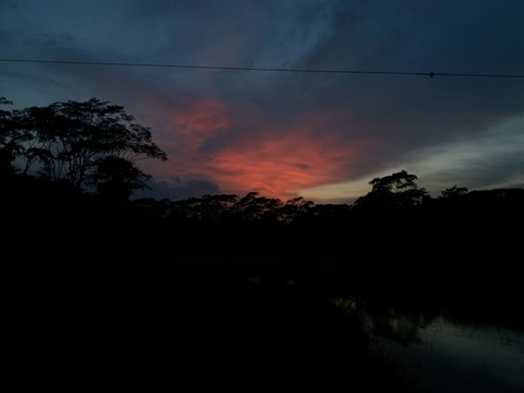 nature