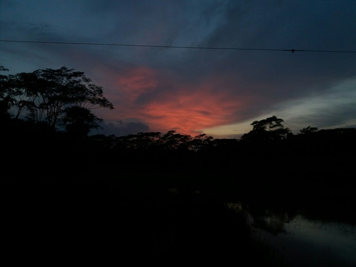 nature
