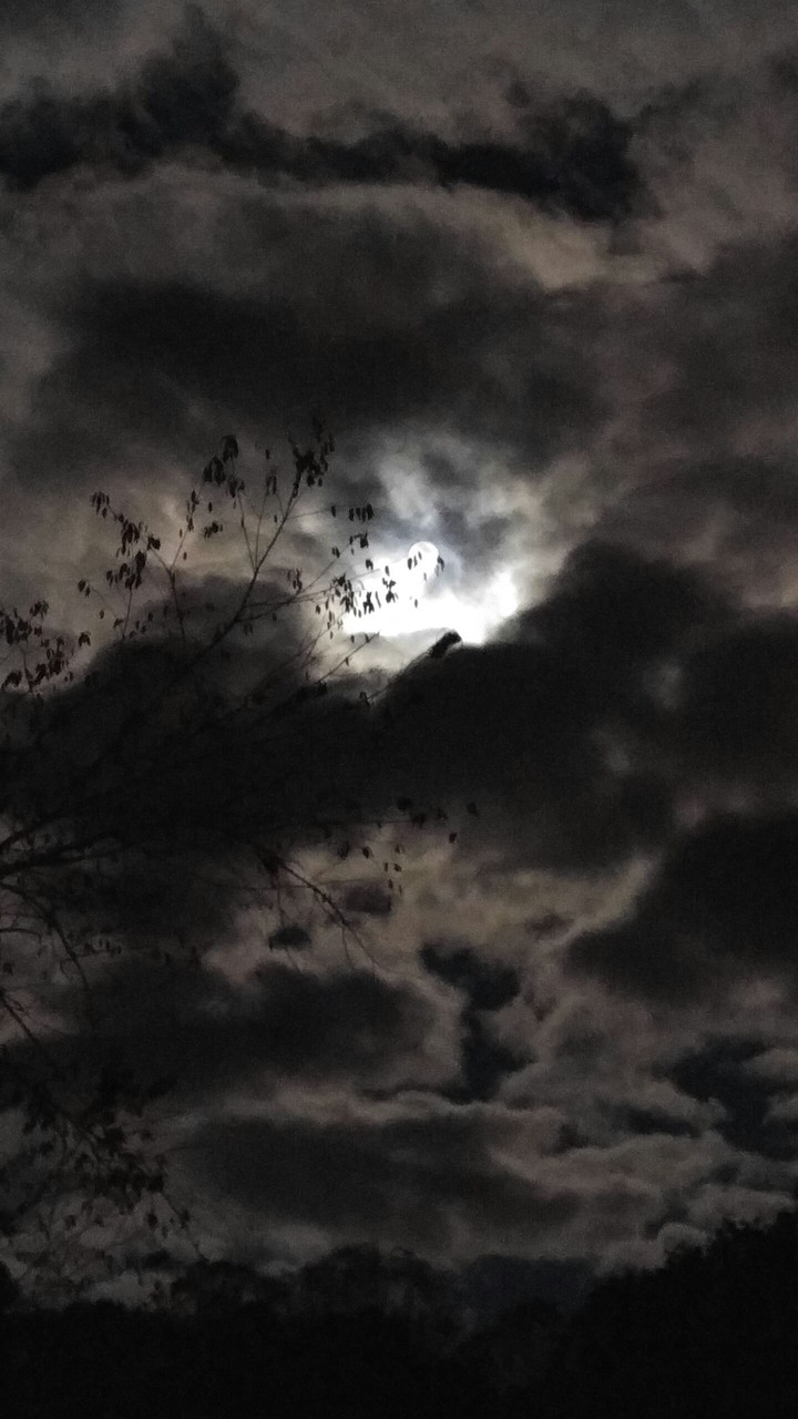 Full Moon